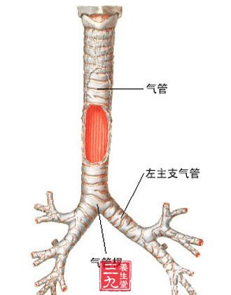 避免气管切开