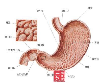 胃,十二指肠溃疡出血