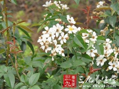 痛经常用有效治疗方法