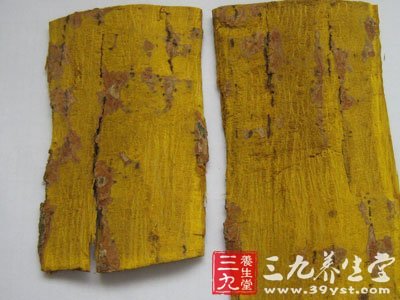 盆腔结缔组织炎方一三黄虎杖汤