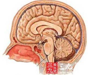 急性缺氧性脑病