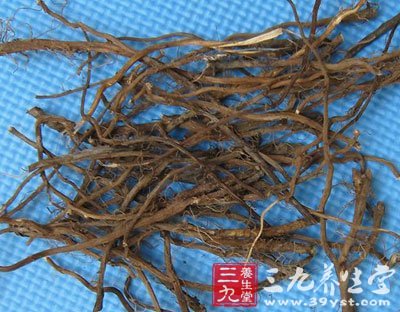 鲜小蓟根汤(张锡纯方)