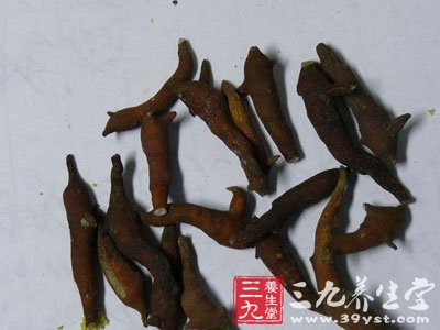 妇科闭经中药方剂