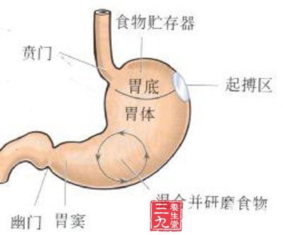 胃下垂