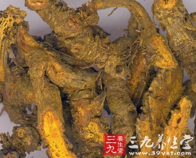 黄连