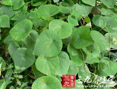 壁厚3-26μm,孔沟