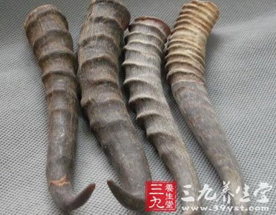 羚羊角骨