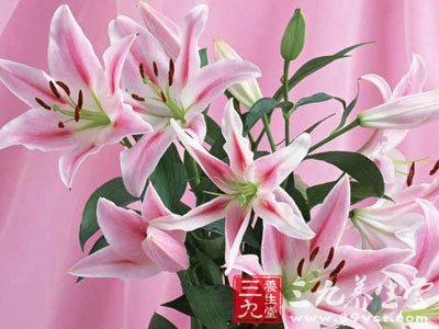 治疗肺结核的偏方11