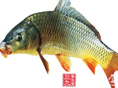 给职业女性大脑 加加油_内科偏方_中医偏方