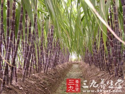 打喷嚏、流眼泪、头痛、背部酸良方