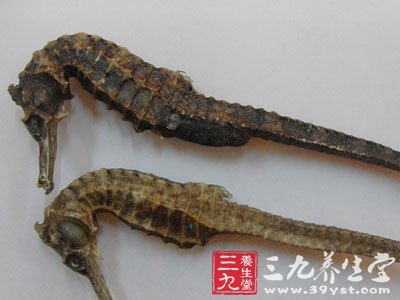 治疗慢性骨髓炎一法