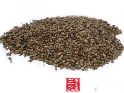 高血压方治疗决明子粥