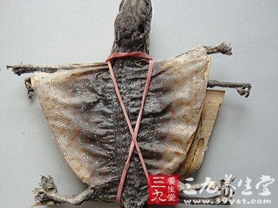 治疗肺结核的偏方15