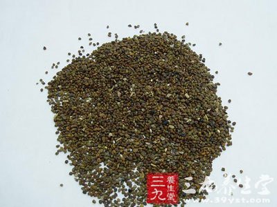 沙苑子白菊花茶