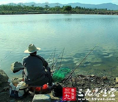 冬季釣魚 5大技巧讓鯽魚乖乖上鉤