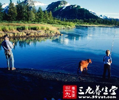 垂釣拉餌特技 提高你的垂釣功力