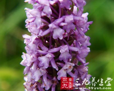 完成缩手反应至少要哪些细胞的参与