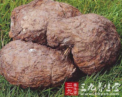 赤茯苓