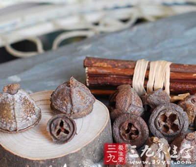 桉树果
