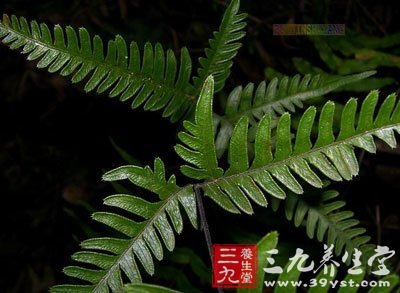 半边旗