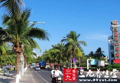 三亚旅游攻略 3路(原203路)