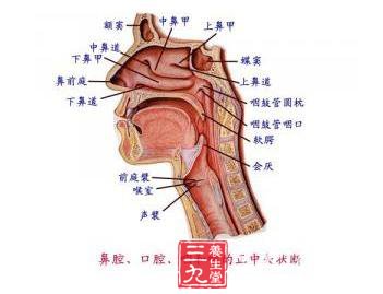 咽侧壁憩室