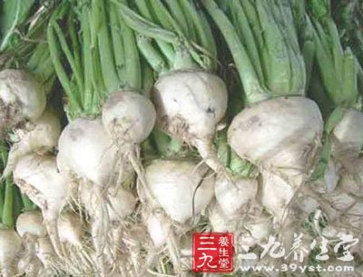 为十字花科植物芜菁