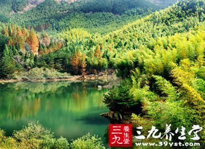 云南旅游景點(diǎn)門(mén)票價(jià)格大全