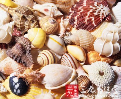 海螺