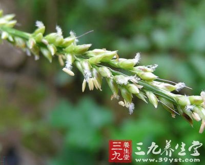 β