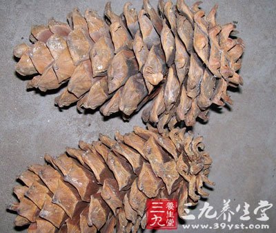 石瓜子莲