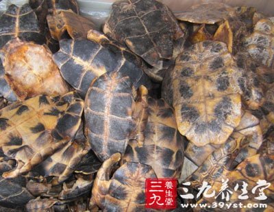 养生堂 养生百科 儿科偏方       将龟板用清水浸泡3日,但需每天换水.