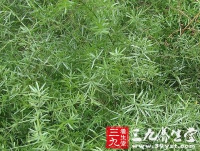 新加三才封髓汤治小儿口疮_儿科偏方_中医偏