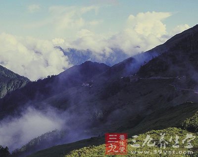 阿里山介绍