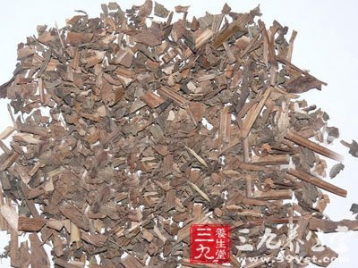 三白草根