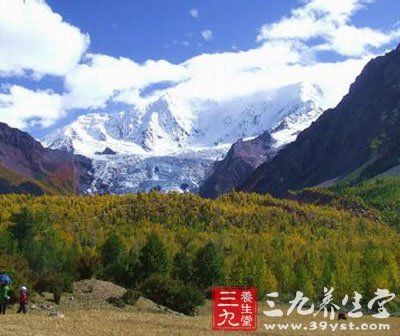 清明旅游好去处 西藏林芝桃花香