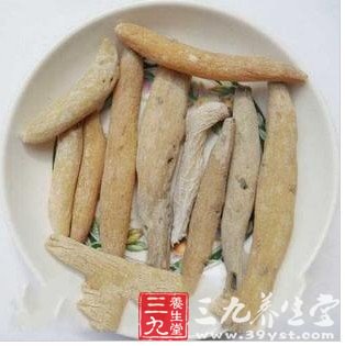 茉莉根