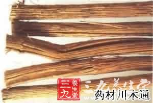 (图)川木通