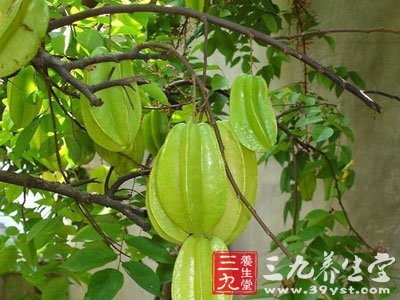 草药大全       【别名】三廉,杨桃,五敛子,五棱子,山敛,三敛子,羊桃