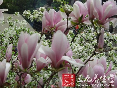 元大都遗址公园