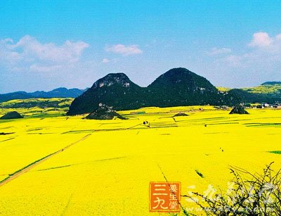 清明节旅游 四川红原赏油菜花全攻略