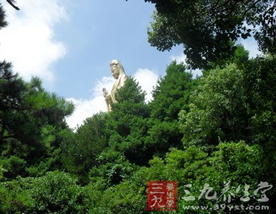 清明节踏青好去处 海天佛国普陀山