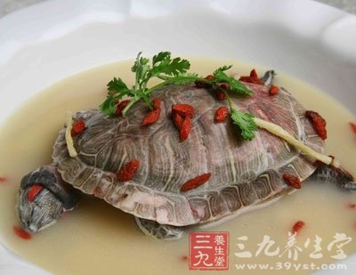 乌龟肉煲猪肚