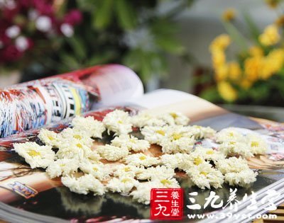 孕婦不能過多飲食菊花茶