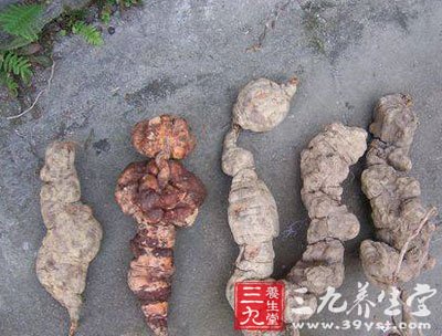 何首乌能降血脂及抗动脉硬化