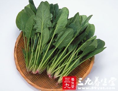 菠菜是一年四季都有的蔬菜