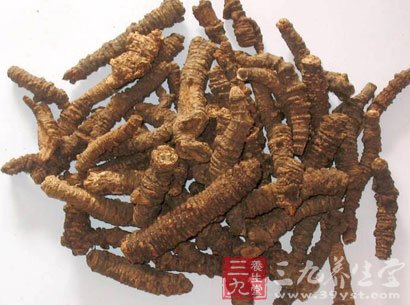 羌活的功效与作用-三九养生堂