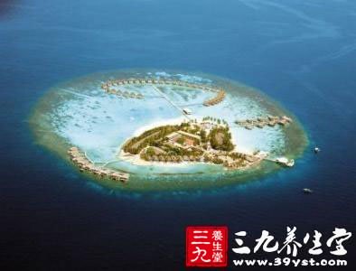 马尔代夫哪个岛最好 如何订酒店(5)