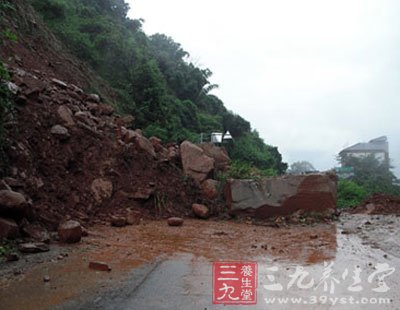 雅安泥石流图片