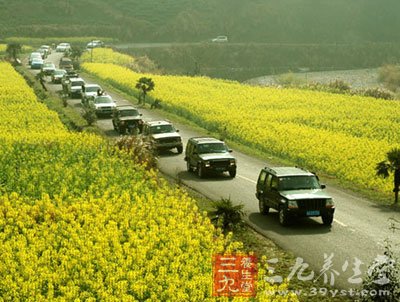 自驾车特别提醒